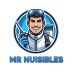 MR NUISIBLES