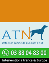 atn-detection-punaises-de-lit